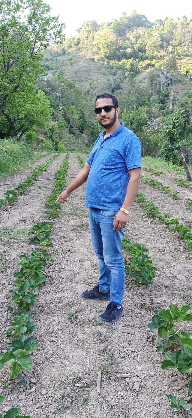 Owen Farm — Farmer at Field